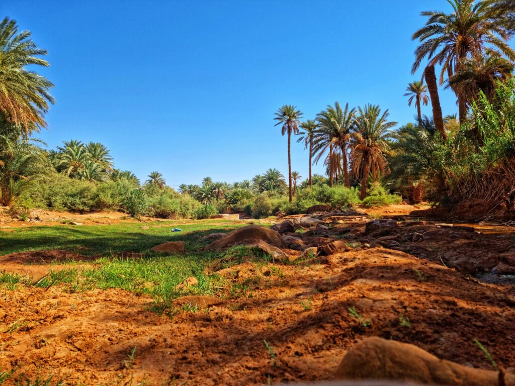 Free stock photo of 4k aerial, 4k landscape, city illumination